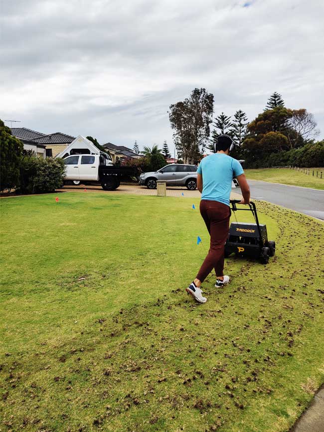 Lawn Aeration Experts in Perth