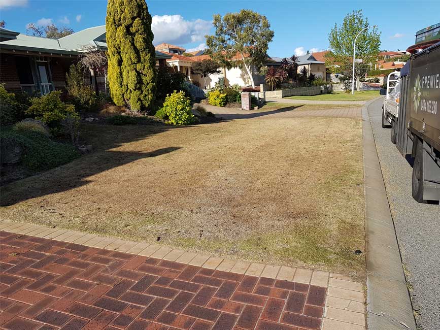 Lawn Care Experts in Perth