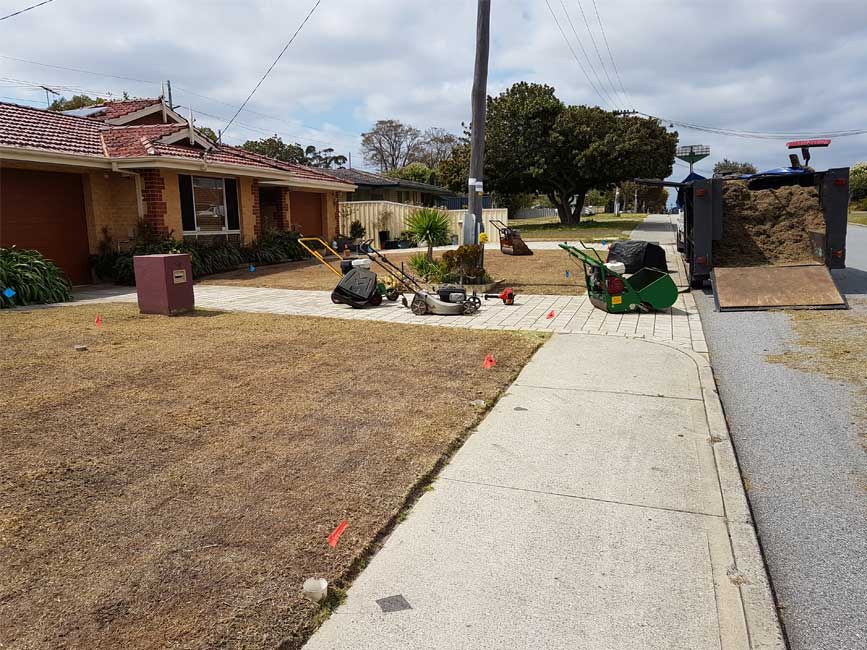 Lawn Service in Perth