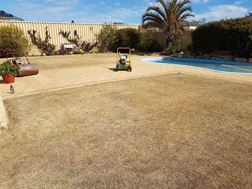 Lawn Vertimowing Service Perth