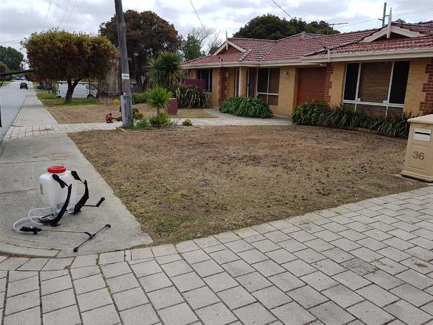 Perth Home Lawn Service