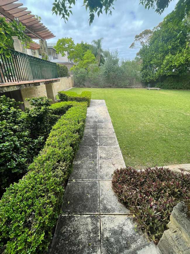 Walkway Pressure Cleaning and Garden Care